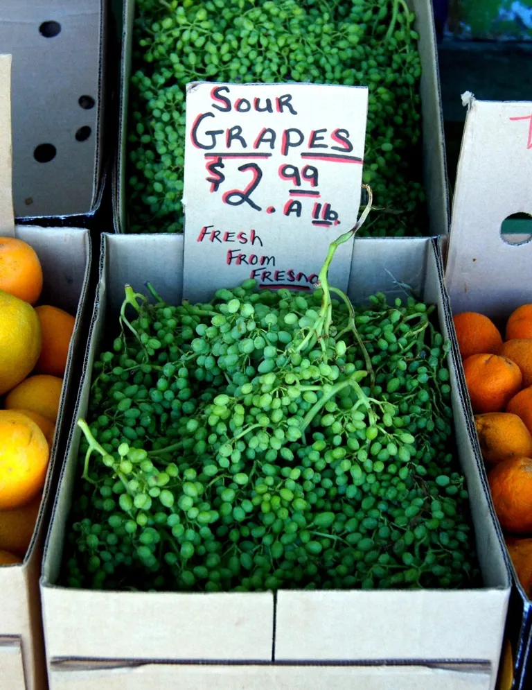 Alemany Farmers Market · archival location photograph