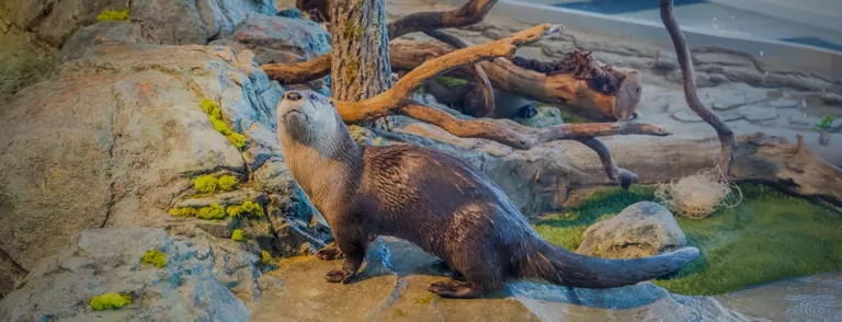 Aquarium of the Bay · organizer photograph