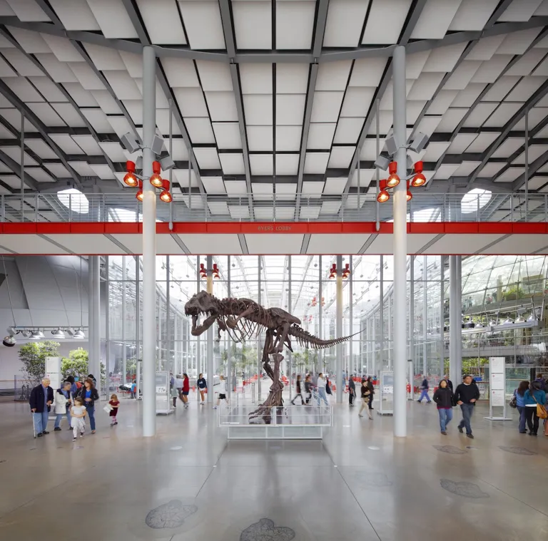 California Academy of Sciences · organizer photograph