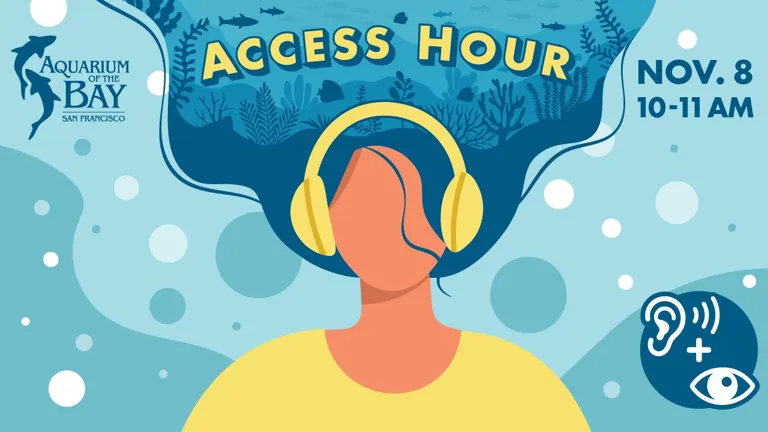 Aquarium of the Bay: Access Hour · organizer photograph