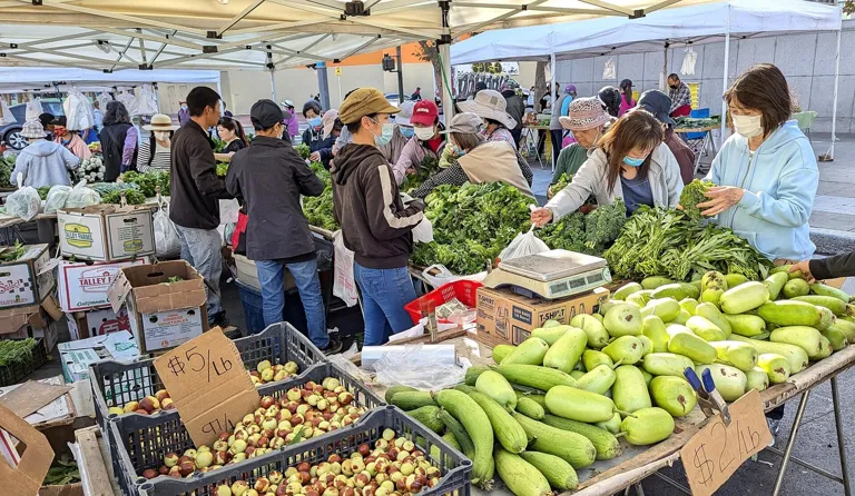 Shoppers and fresh produce at the Heart of the City Farmers Market
