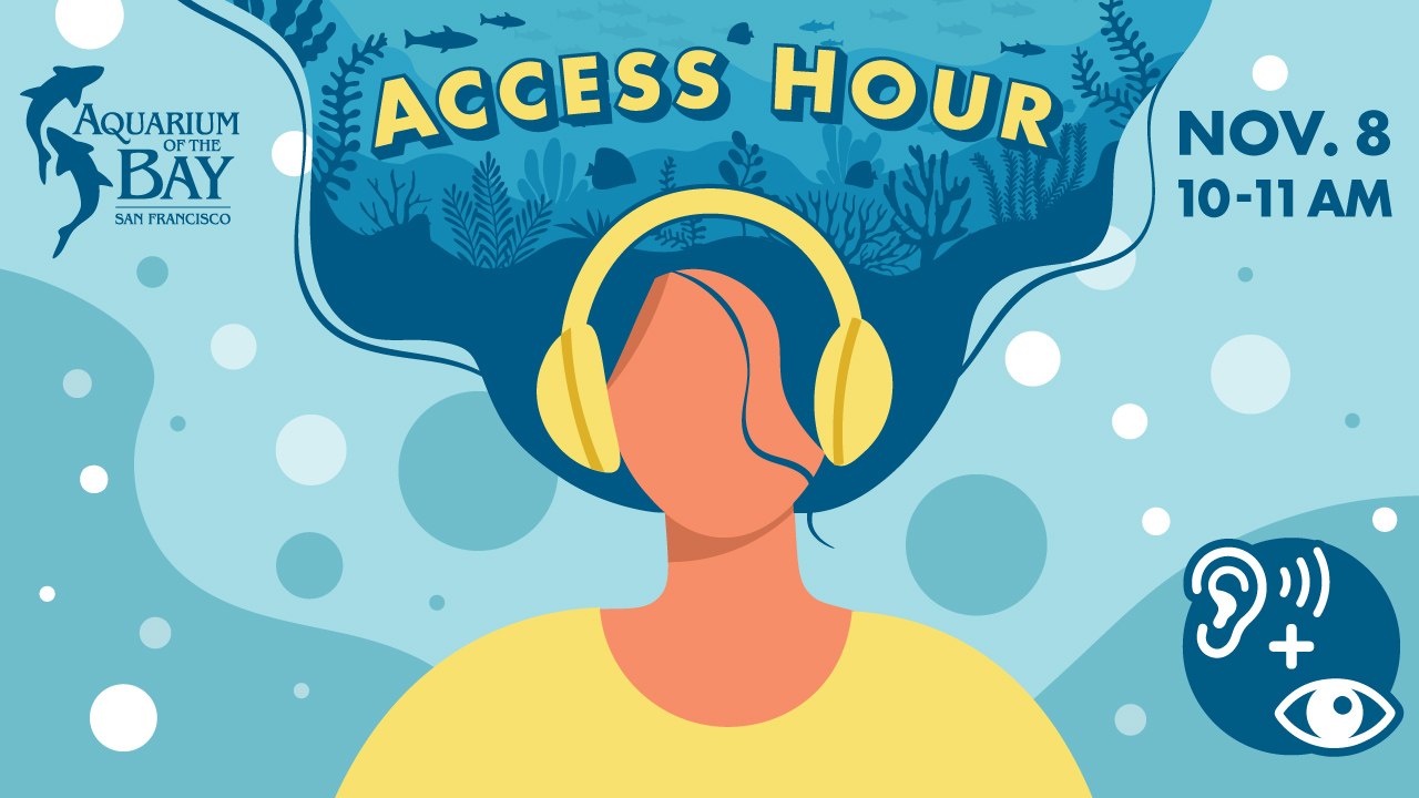 Aquarium of the Bay: Access Hour