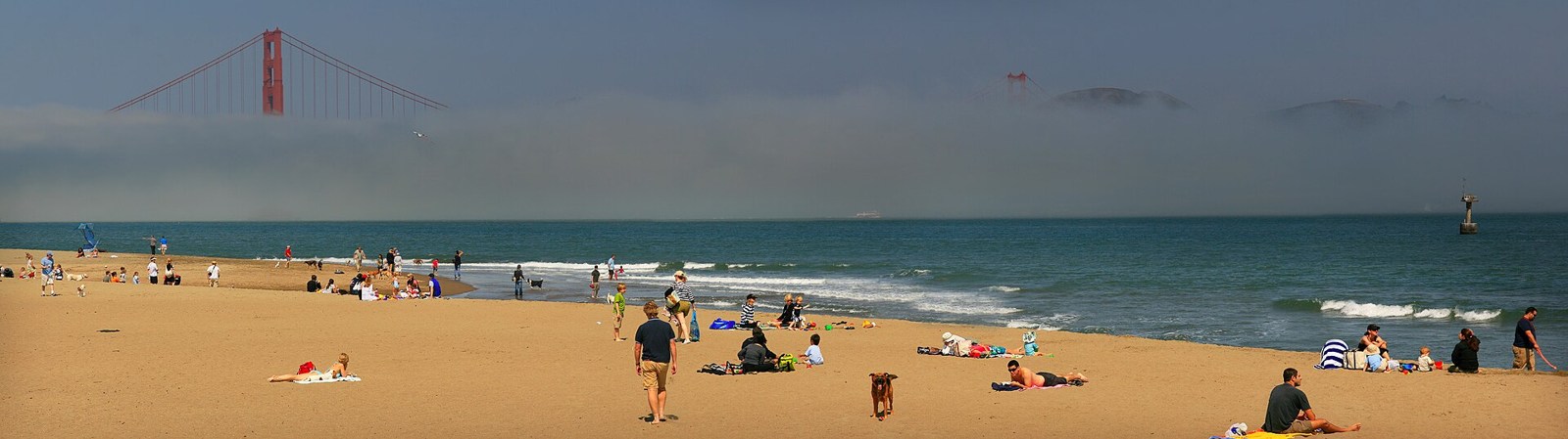 Crissy Field · archival location photograph