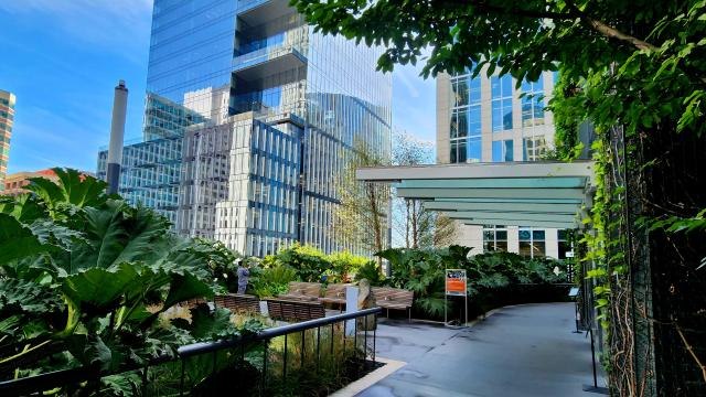 Salesforce Park · organizer photograph